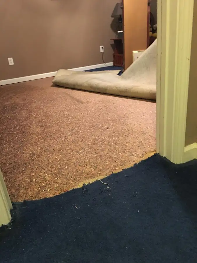 Carpet pad removal revealing water damage during Water Mitigation Services in Martic