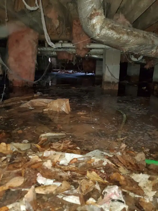 Crawl space flood assessment for Commercial Water Damage Restoration in Martic