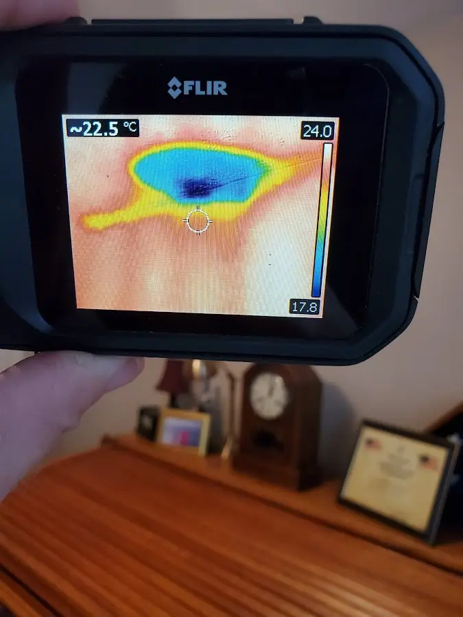 Thermal imaging inspection for water damage in Martic