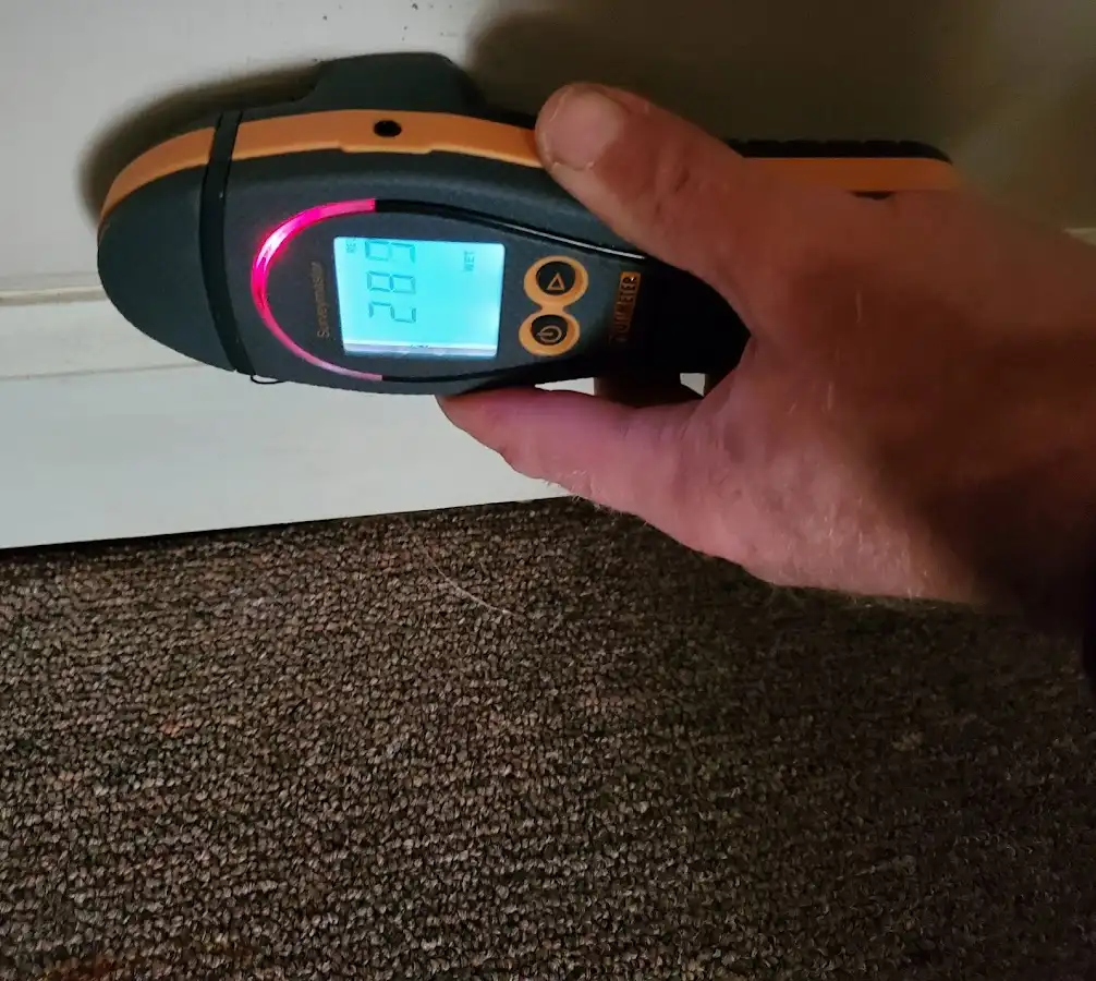 Moisture detection at baseboard during Burst Pipe Cleanup in Martic